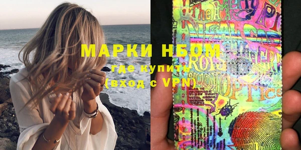стафф Дубовка