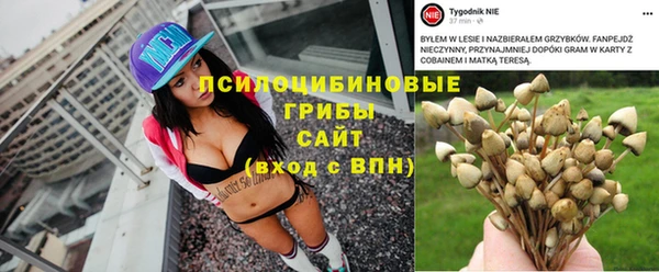 гашик Абаза