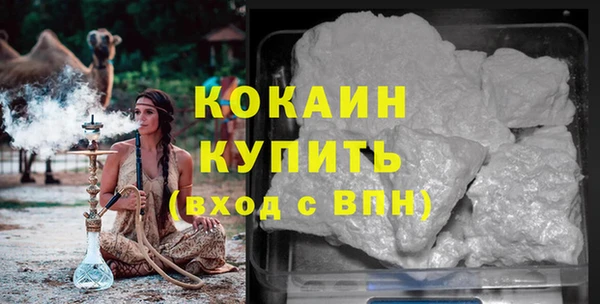 ПСИЛОЦИБИНОВЫЕ ГРИБЫ Арсеньев