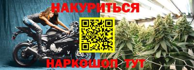 стаф Кимры