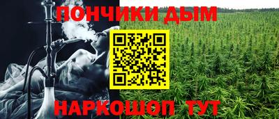 стаф Кимры